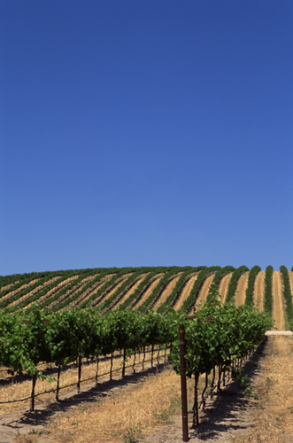 Customary Units Of Measurement Chart. Measurement, most common base