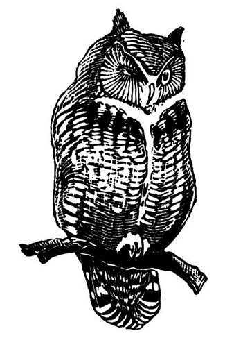 The Owl is a symbol of wisdom. 