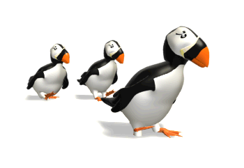 penguins 