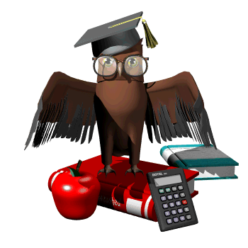 Owl standing on a book with a calculator and apple 