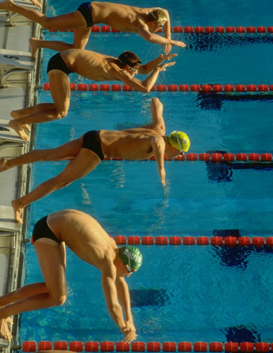Picture of Swimmers 