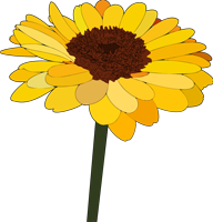 Yellow Sunflower 