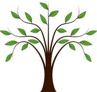 Brown tree with green leaves