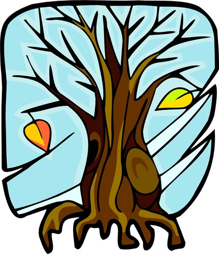 fall tree