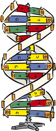 El ADN/ DNA