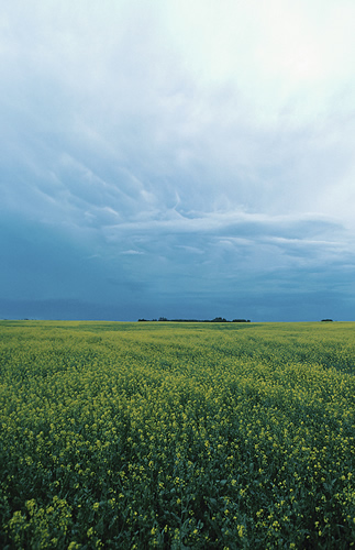 sky
