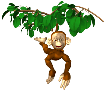 monkey swinging on limb