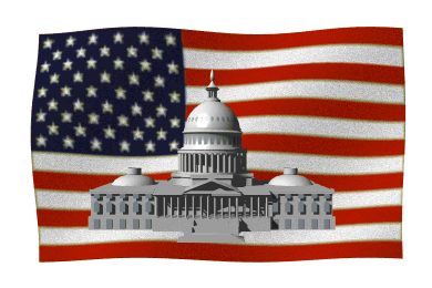Flag with White House